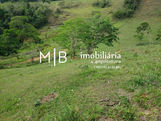 Terreno com 18000m², à venda, no bairro SEBASTIÃO ADOLFO em CATAGUASES