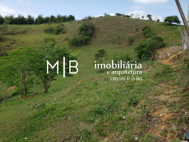 Terreno com 18000m², à venda, no bairro SEBASTIÃO ADOLFO em CATAGUASES