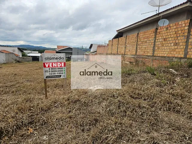 Terreno com 250m², à venda, no bairro MIGUEL AFONSO em Jacarezinho