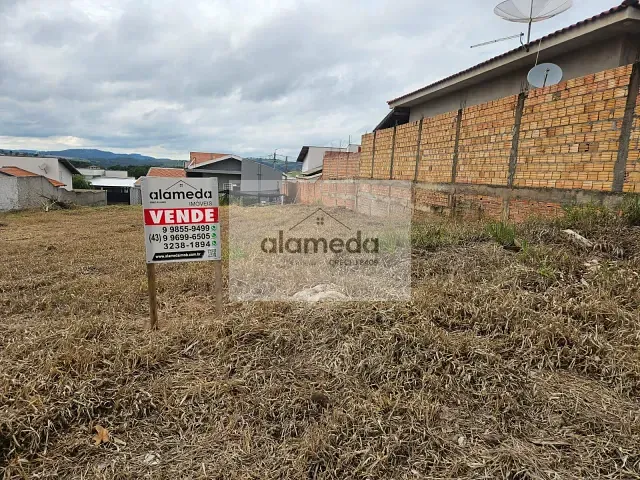 Terreno com 250m², à venda, no bairro MIGUEL AFONSO em Jacarezinho