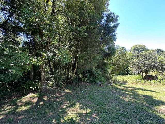 Terreno com 1000m², à venda, no bairro Centro em Nova Prata