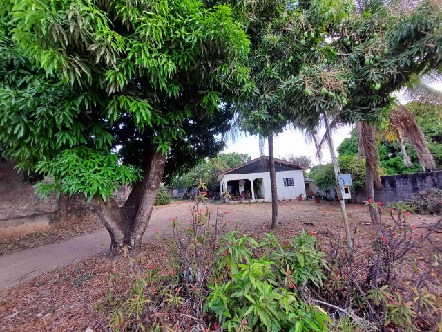 Terreno com 1000m², à venda, no bairro Centro em Nova Mutum