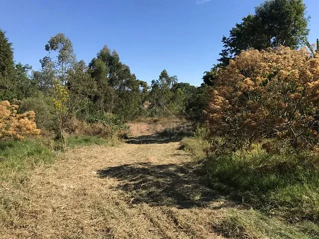 Terreno com 3250m², à venda, no bairro Estância Poços de Caldas em Poços de Caldas