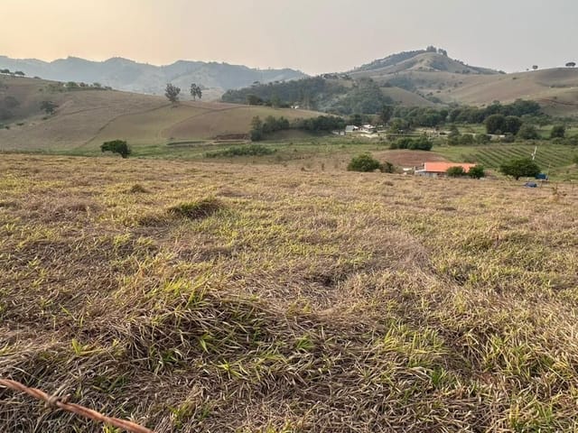 Terreno com 20000m², à venda, no bairro Vazes em Cambuí