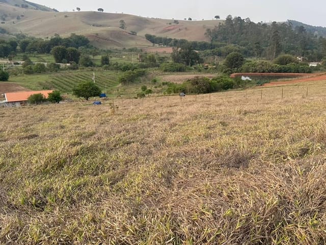 Terreno com 20000m², à venda, no bairro Vazes em Cambuí