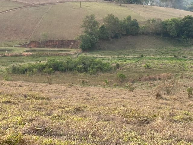 Terreno com 20000m², à venda, no bairro Vazes em Cambuí