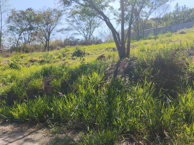 Terreno com 1000m², à venda, no bairro Bairro do Lago em Águas da Prata