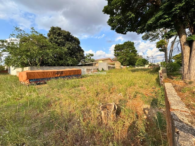 Terreno com 1517m², à venda, no bairro Centro em Jandaia do Sul