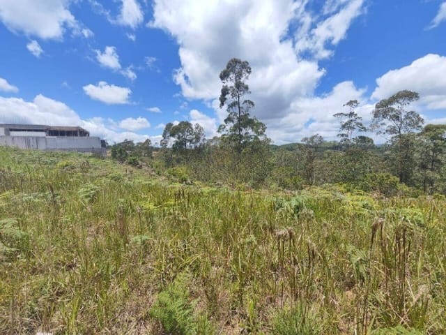 Terreno com 261m², à venda, no bairro Cézar de Souza em Mogi das Cruzes