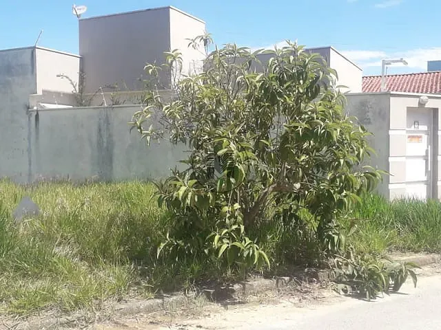 Terreno com 280m², à venda, no bairro Residencial Coopemi I em Guaratinguetá