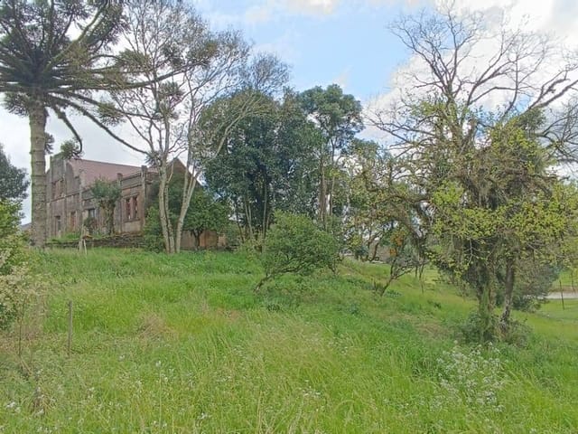 Terreno com 945m², à venda, no bairro Aimoré em Vila Flores
