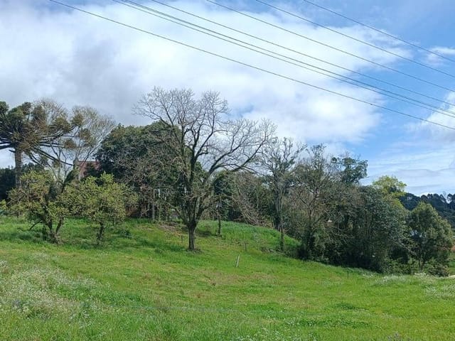 Terreno com 945m², à venda, no bairro Aimoré em Vila Flores
