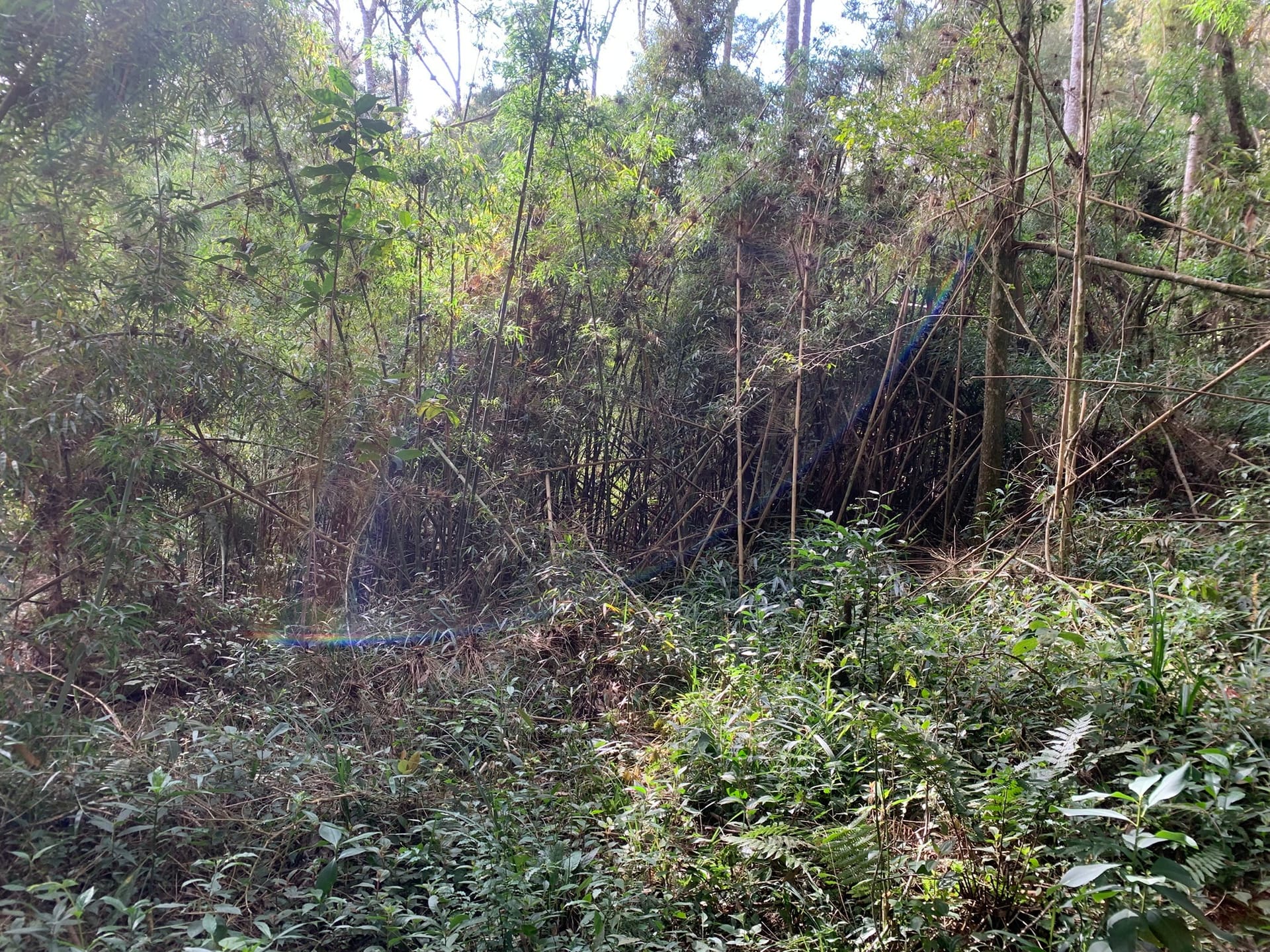 Terreno, 6000 m² - Foto 8