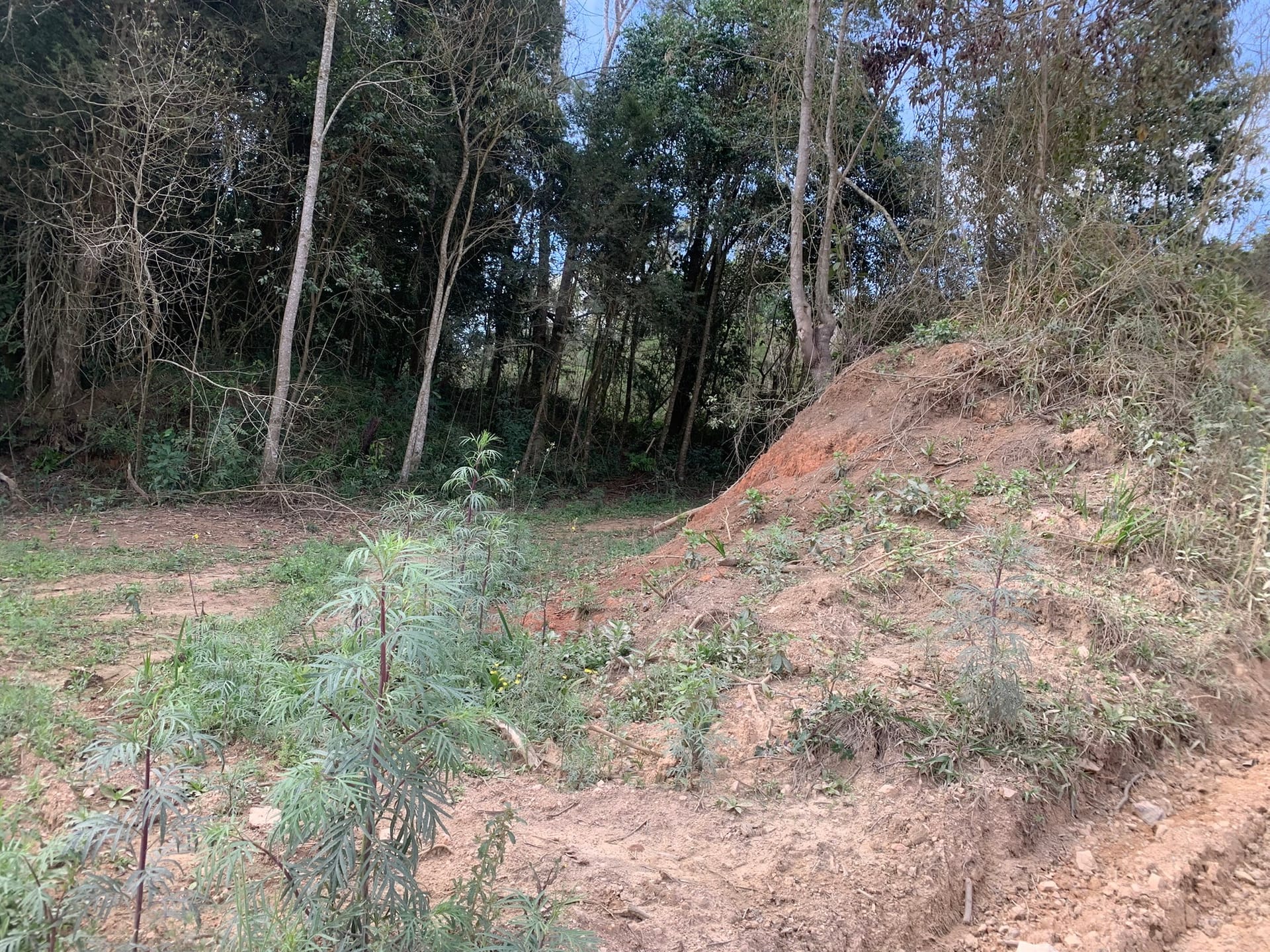 Terreno, 6000 m² - Foto 13