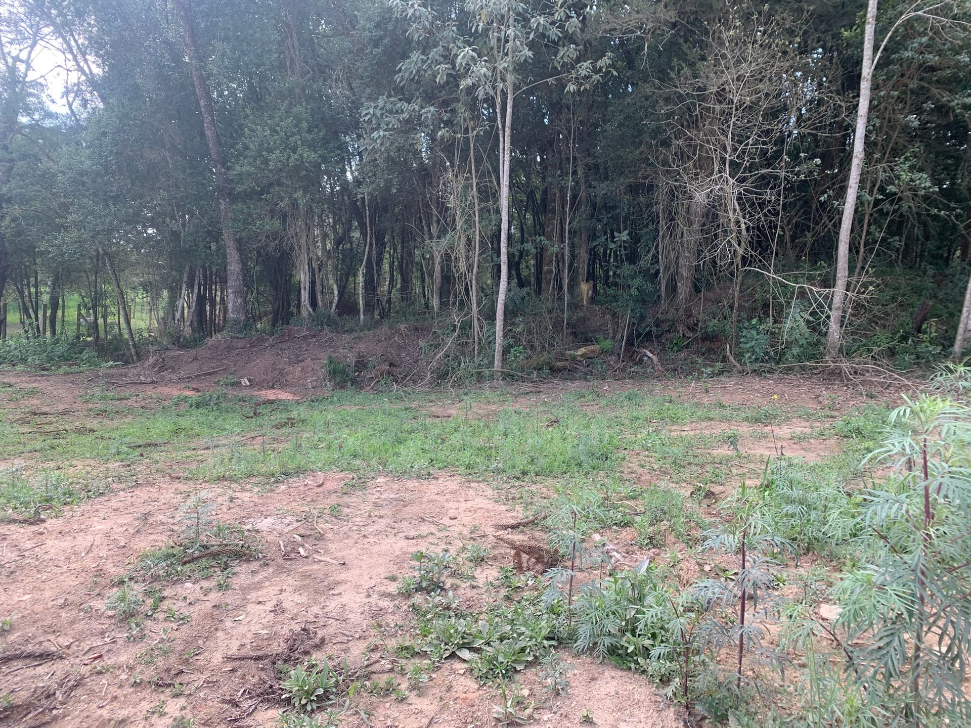 Terreno, 6000 m² - Foto 3