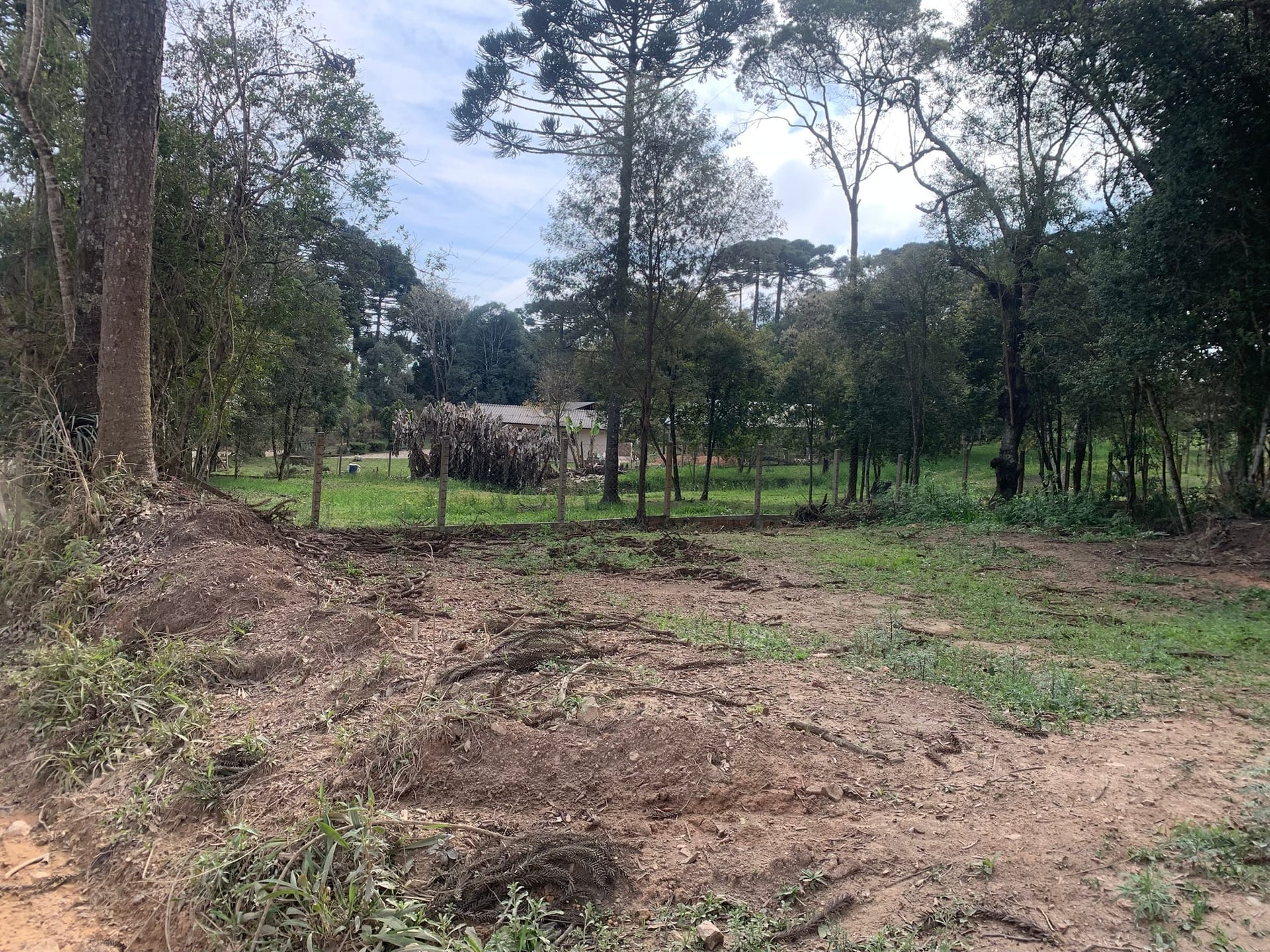 Terreno, 6000 m² - Foto 14