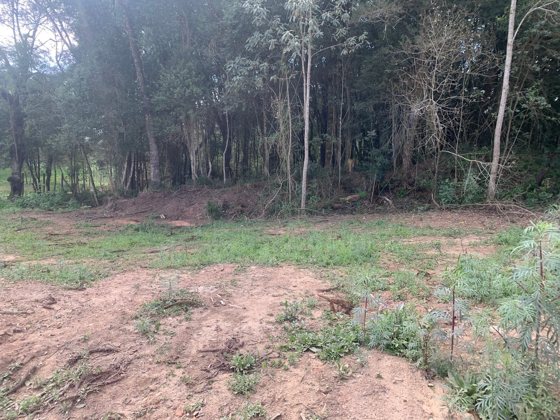 Terreno, 6000 m² - Foto 1