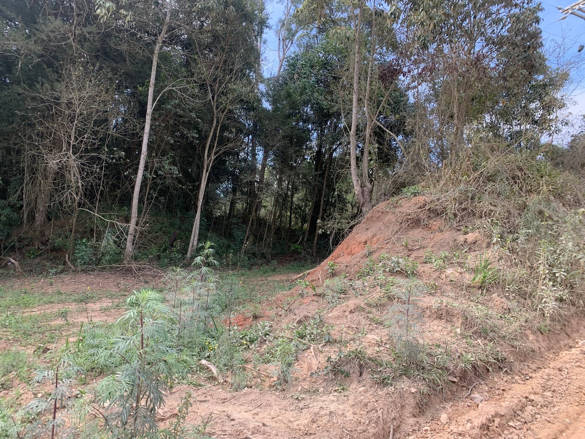 Terreno, 6000 m² - Foto 15