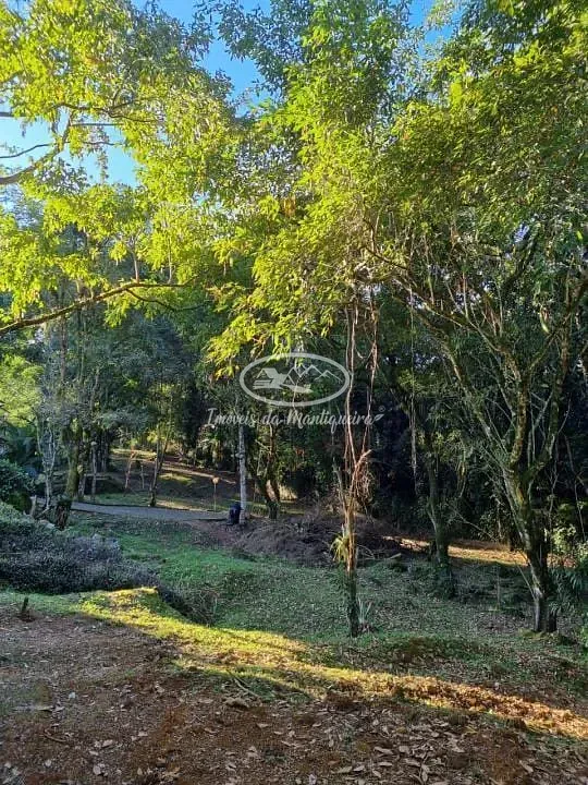 Terreno, 339 m² - Foto 2