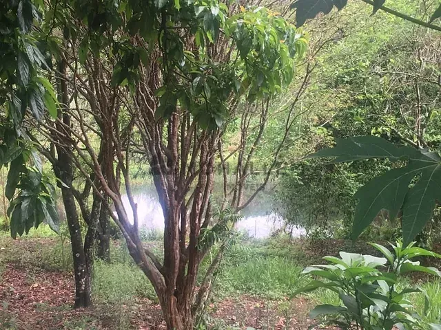 Terreno com 2800m², à venda, no bairro Açude em Piranguinho