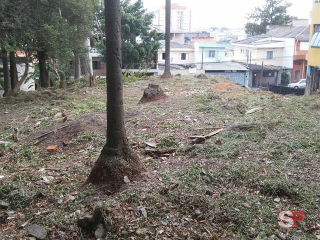 Terreno com 912m², à venda, no bairro Vila Ivone em São Paulo
