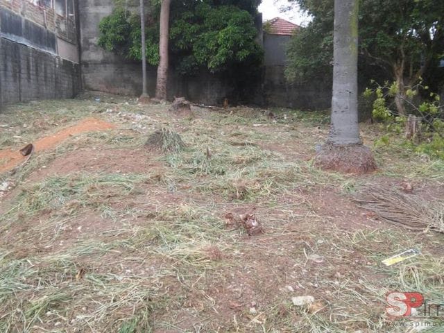 Terreno com 912m², à venda, no bairro Vila Ivone em São Paulo