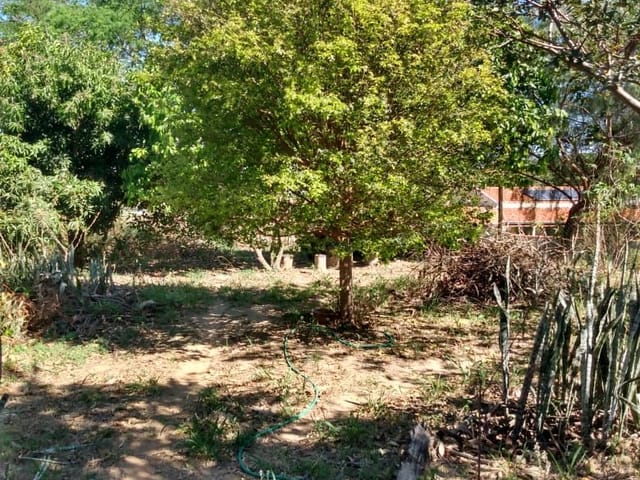 Terreno com 1236m², à venda, no bairro Bairro do Lago em Águas da Prata