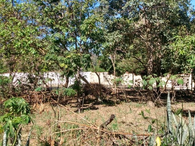 Terreno com 1236m², à venda, no bairro Bairro do Lago em Águas da Prata