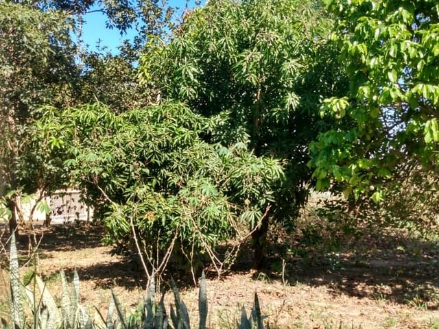 Terreno com 1236m², à venda, no bairro Bairro do Lago em Águas da Prata