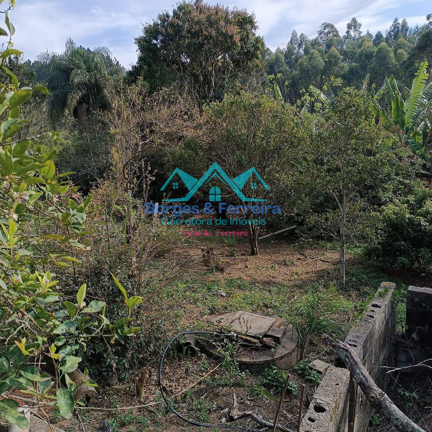 Terreno, 1600 m² - Foto 17