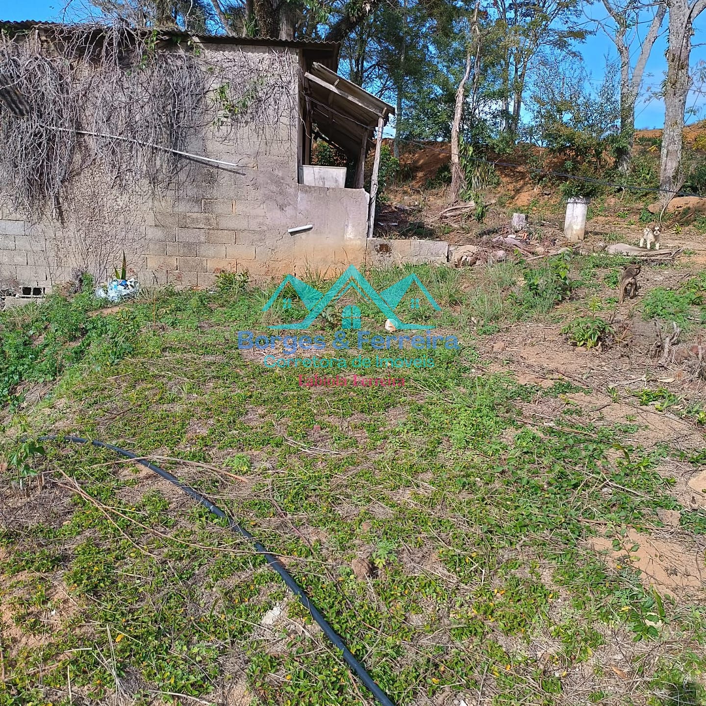 Terreno, 1600 m² - Foto 20