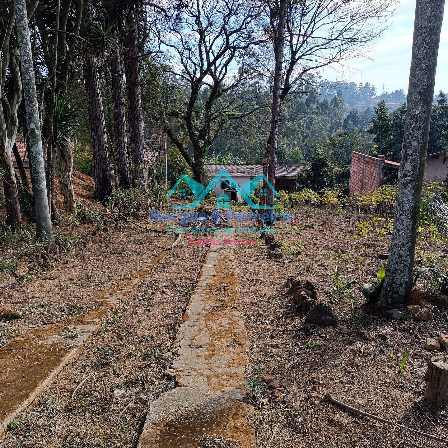 Terreno, 1600 m² - Foto 13