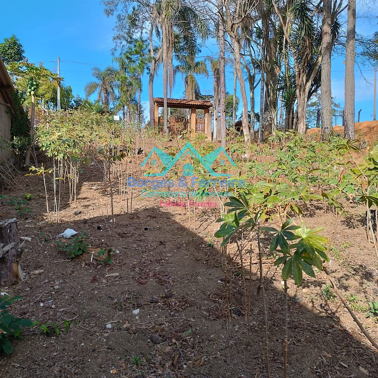 Terreno, 1600 m² - Foto 7