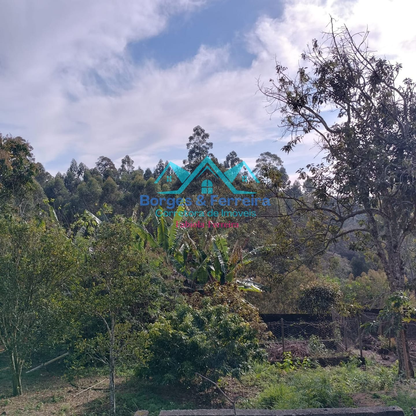 Terreno, 1600 m² - Foto 18