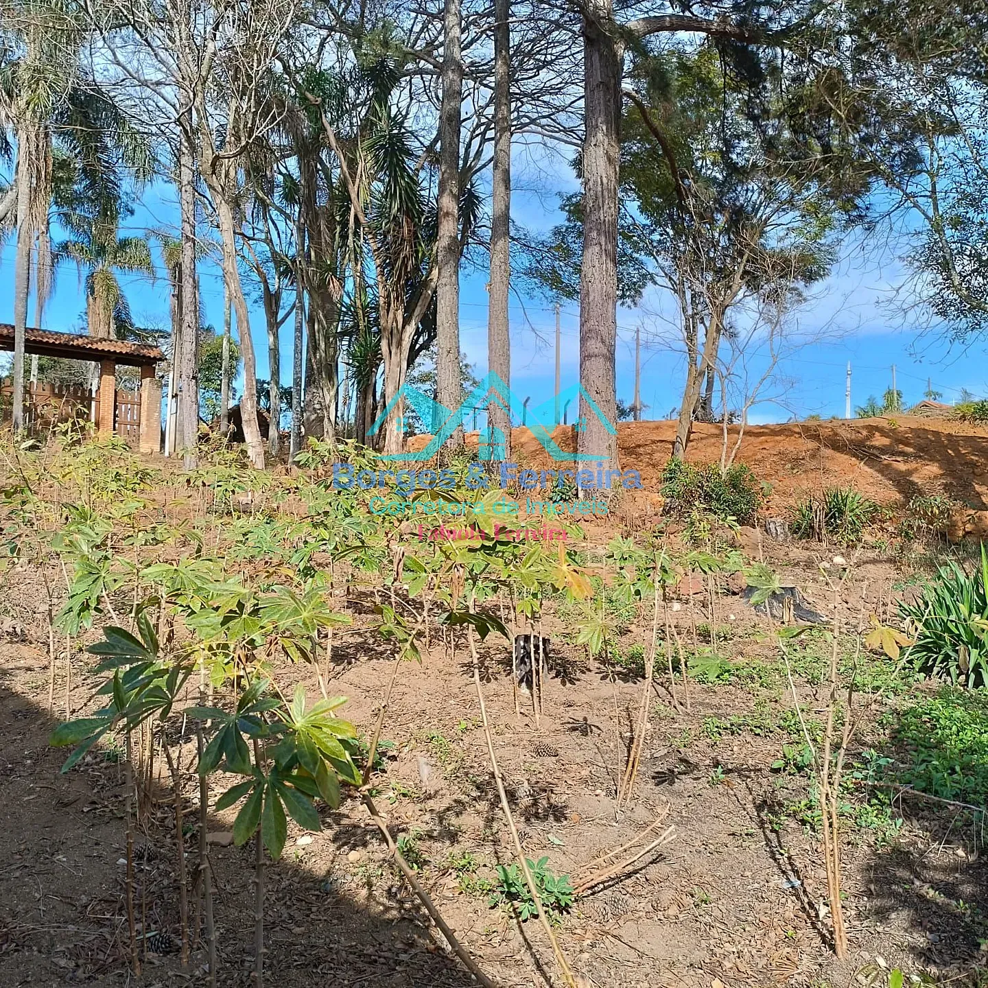 Terreno, 1600 m² - Foto 8