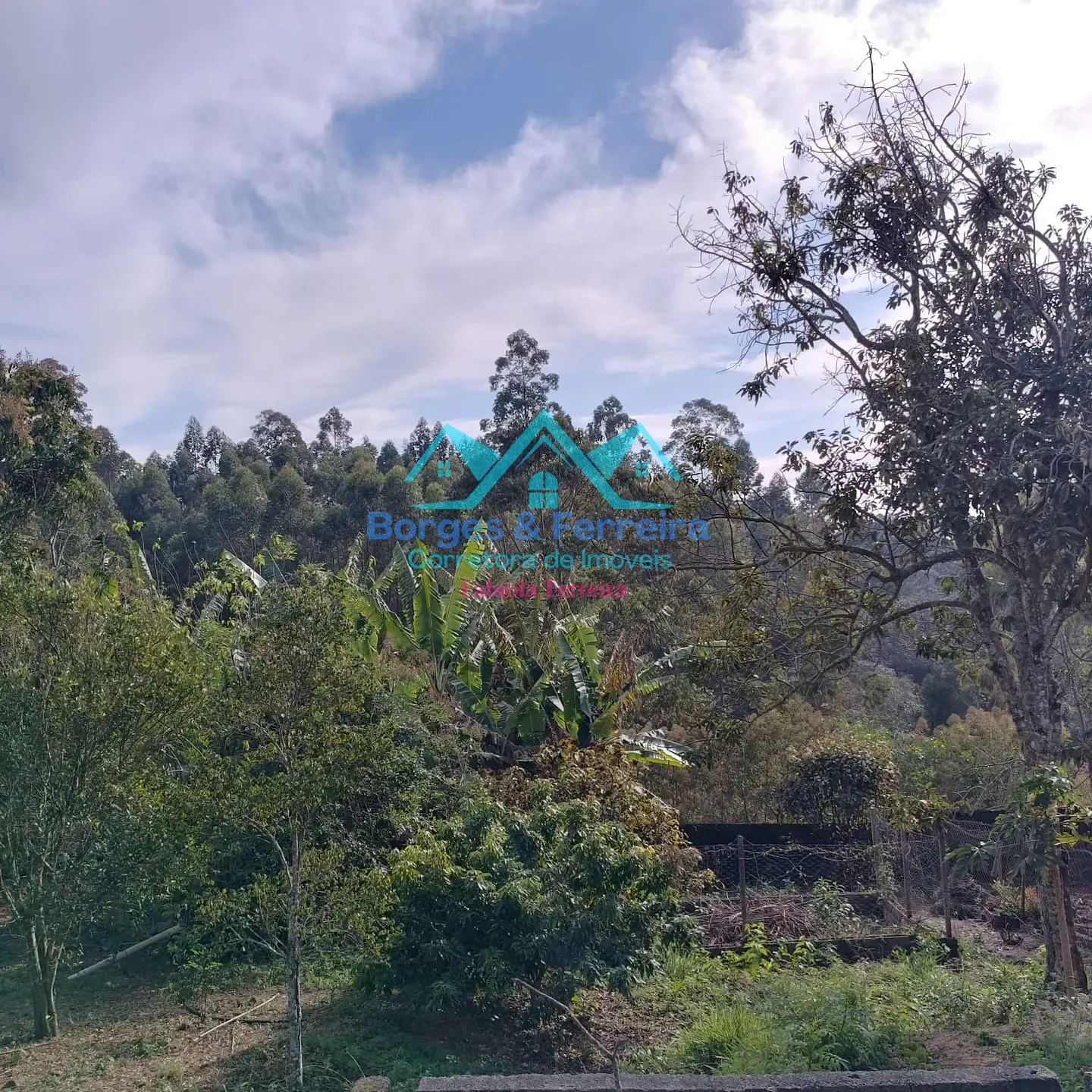 Terreno, 1600 m² - Foto 18