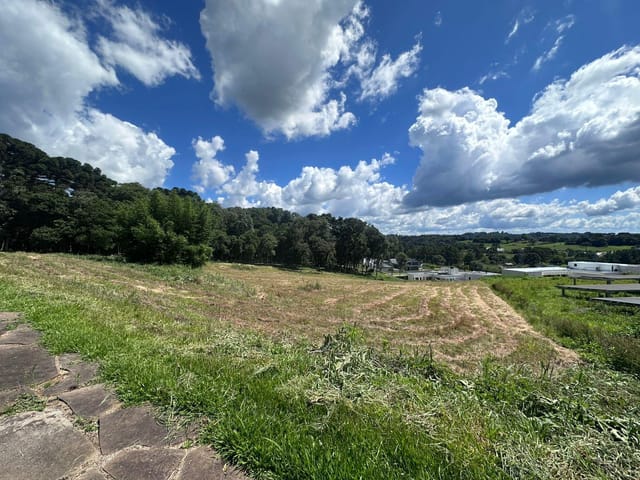 Terreno com 2000m², à venda, no bairro Araucárias em Nova Prata