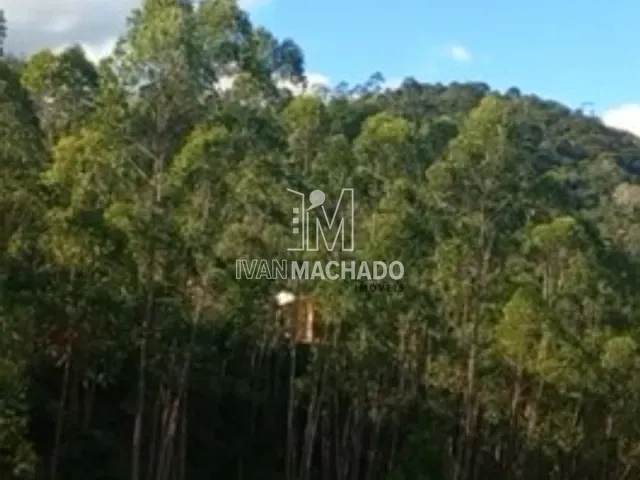 Terreno com 1300m², à venda, no bairro Aracê em Domingos Martins