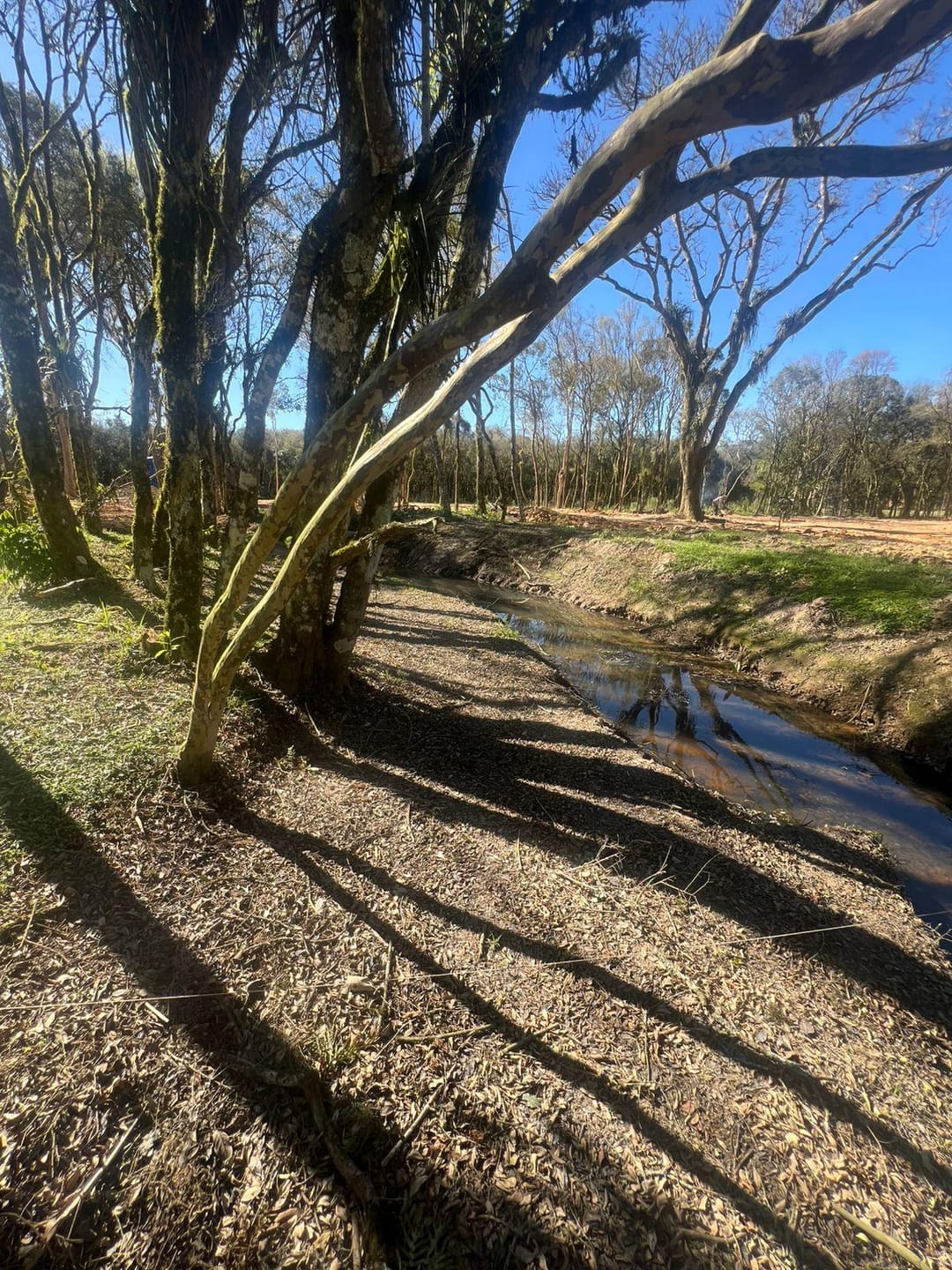 Terreno à venda, 2000m² - Foto 4