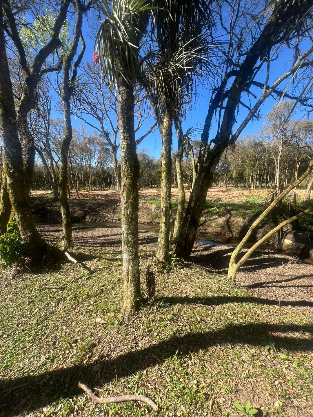 Terreno à venda, 2000m² - Foto 2