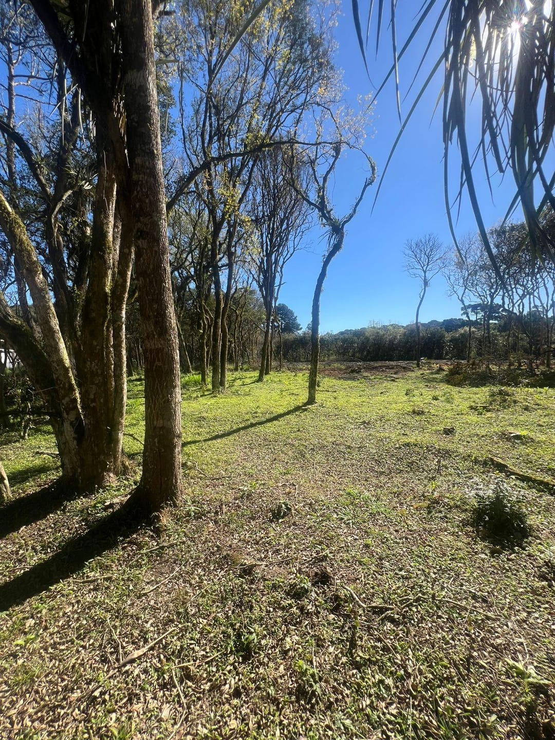 Terreno à venda, 2000m² - Foto 1