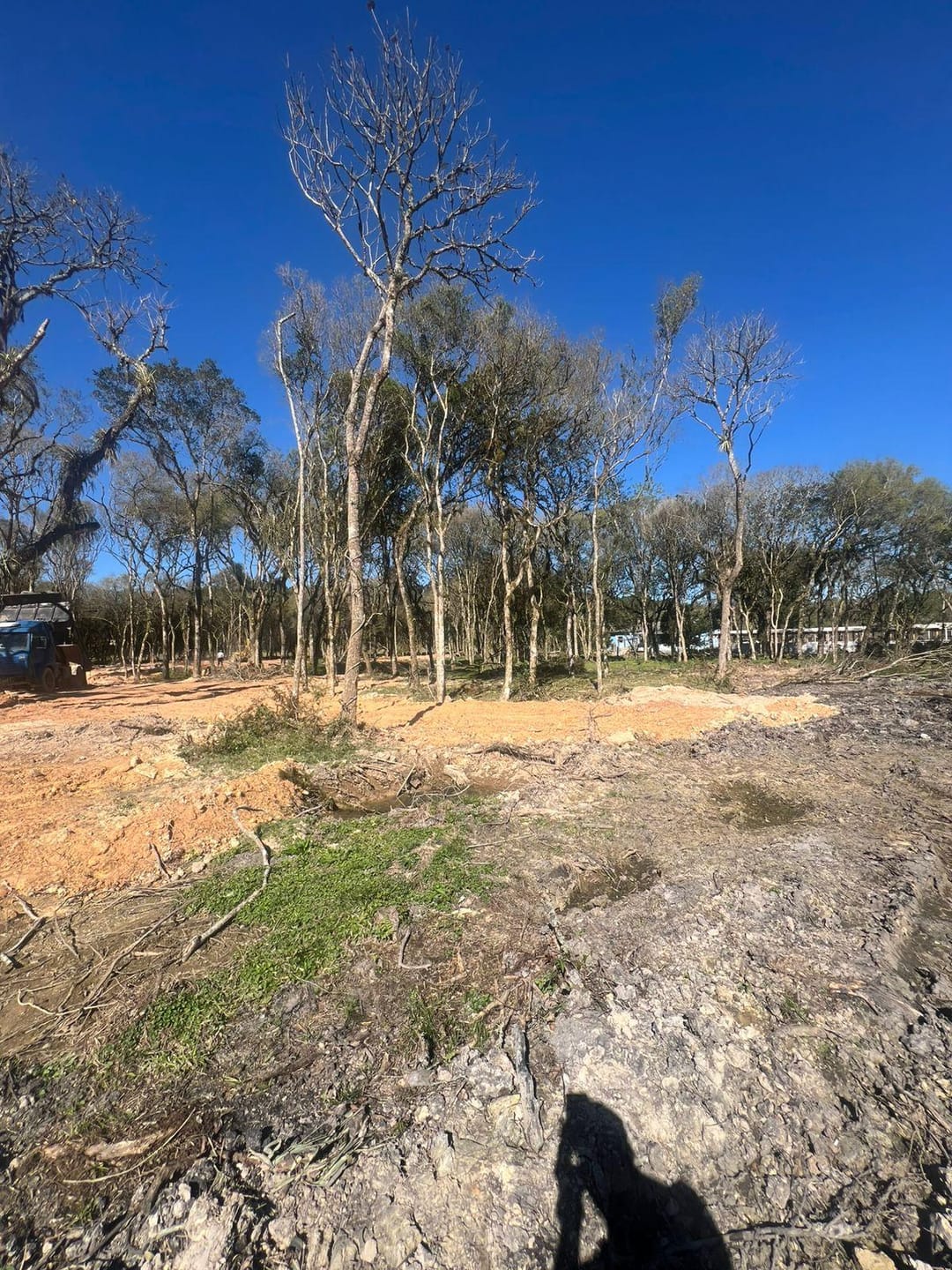 Terreno à venda, 2000m² - Foto 6