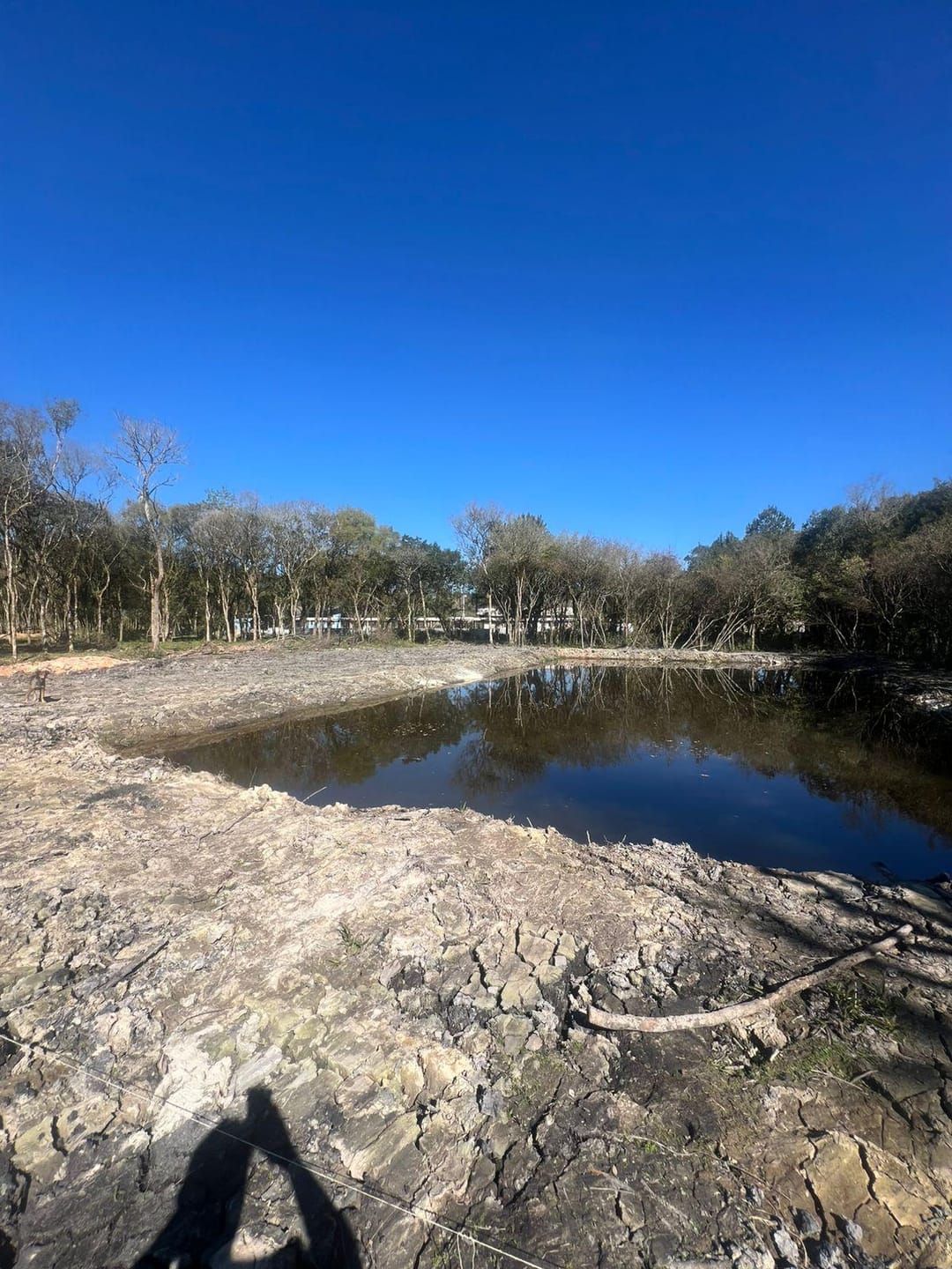 Terreno à venda, 2000m² - Foto 3