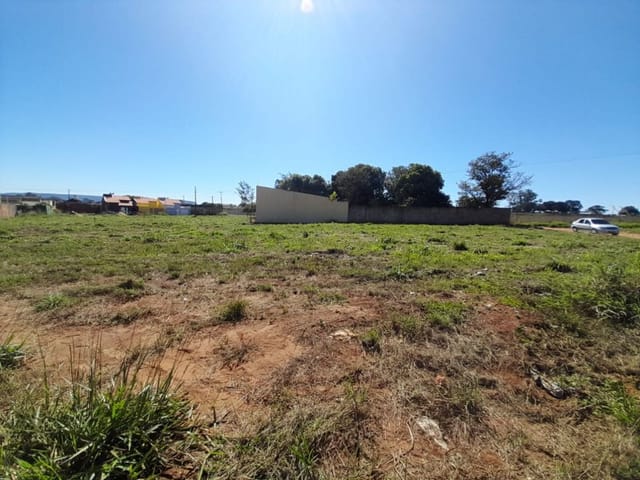 Foto do Terreno - Três Terreno venda, 403 m² por R$ 70.000,00 cada - Alexandrina - Quirinópolis/GO | VALORIZA IMÓVEIS