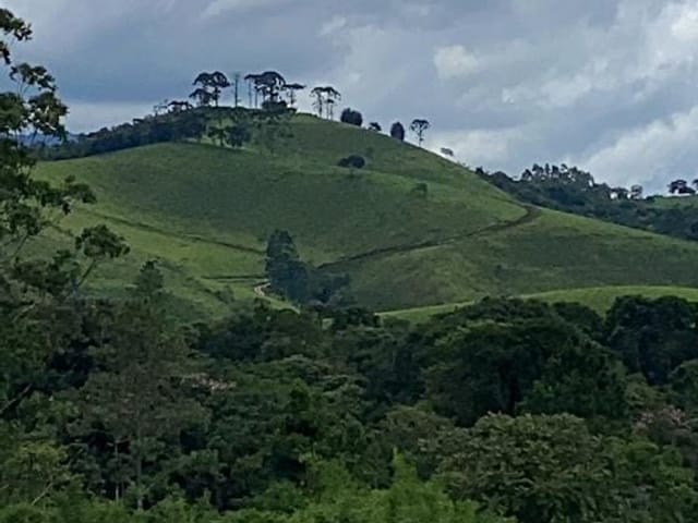 Foto do Terreno - Área de 30.019 m² á Venda por R$ 780.000,00 em Santo Antônio do Pinhal, SP | Campos & Co. Imóveis