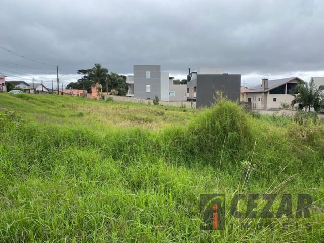 Terreno à venda, no bairro Bairro Alto em Curitiba