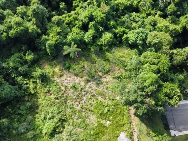 Terreno com 5140m², à venda, no bairro Condomínio Fazenda Duas Marias em Holambra