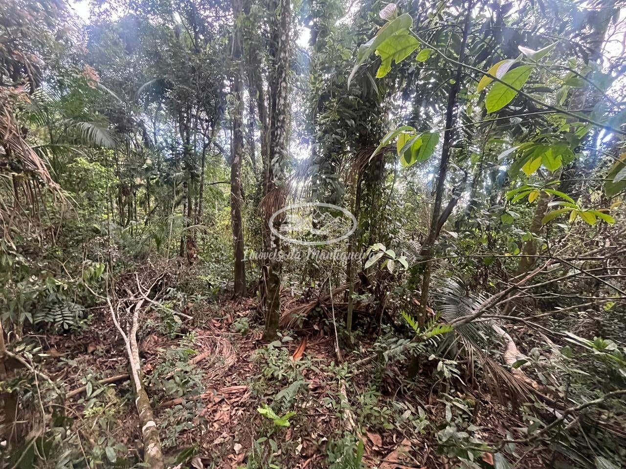 Terreno, 690 m² - Foto 5