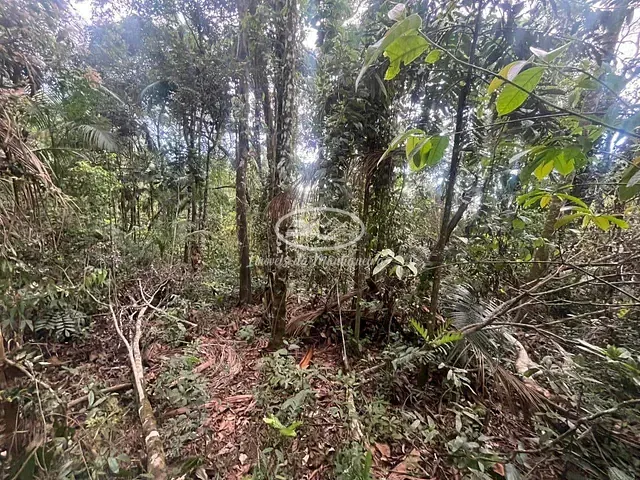Terreno com 690m², à venda, no bairro Fazendinha (Penedo) em Itatiaia