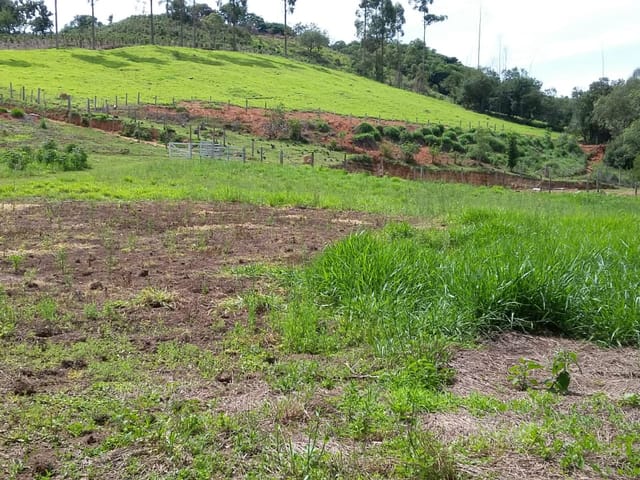Foto do Terreno - Terreno à venda, Varginha, Campestre, MG | Pirâmide Consultoria de Imóveis